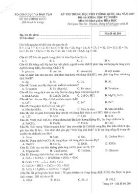 Đề thi Trung học phổ thông Quốc gia môn Hóa học năm 2017 - Mã đề 206